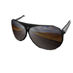 Roadtrippin' Shades