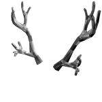 Silverthorn Antlers